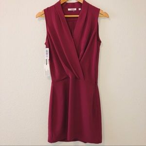 Aritzia Babaton Phoenix Dress New w Tags